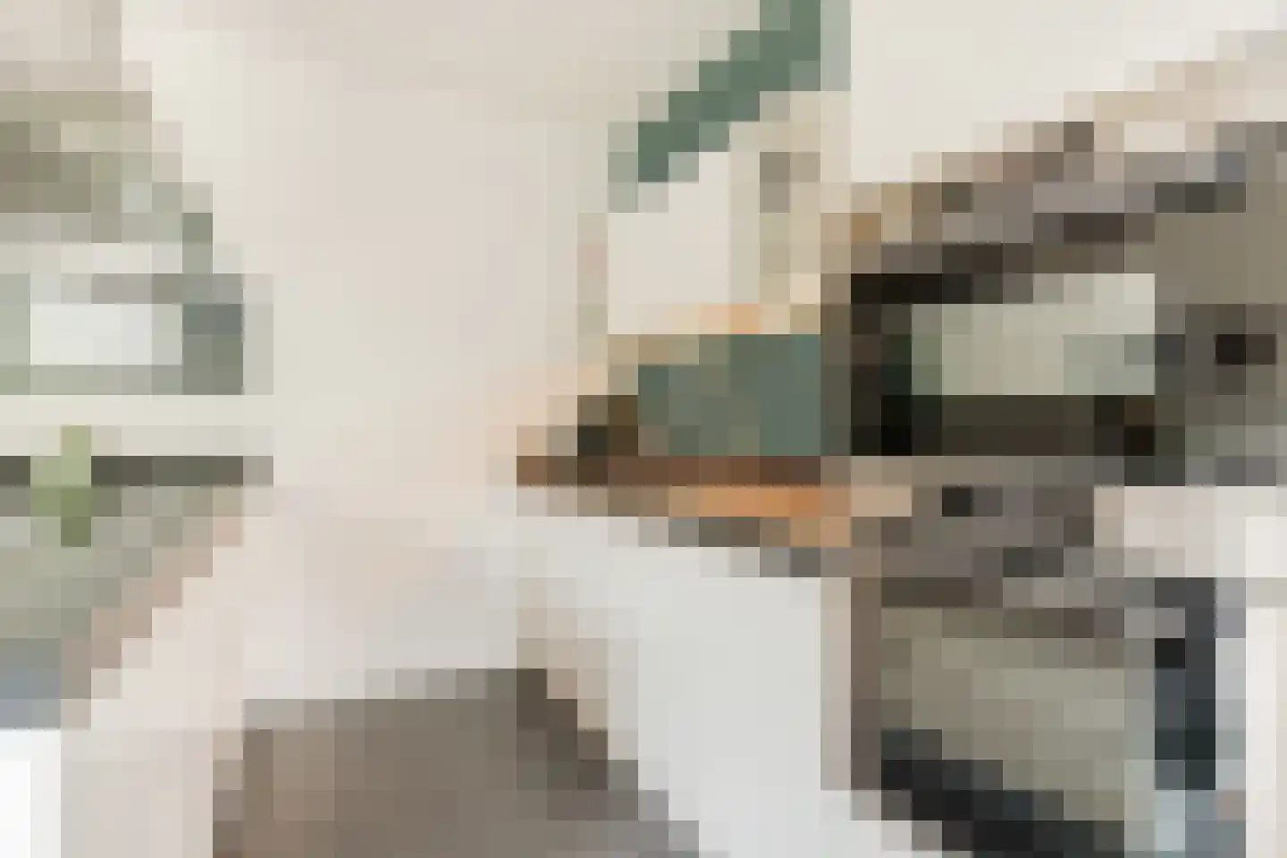 Heggestraat 50 Geldrop thumbnail 21
