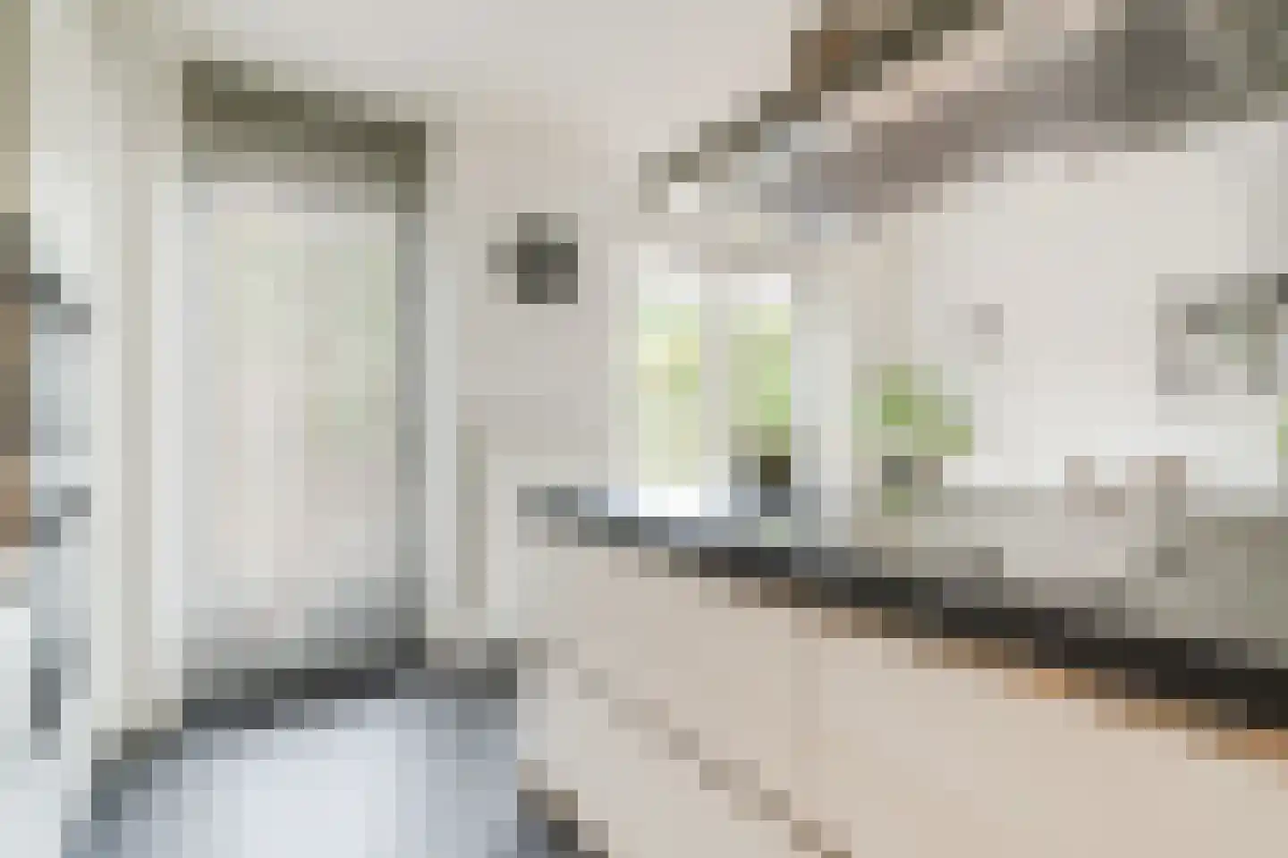 Heggestraat 50 Geldrop thumbnail 23