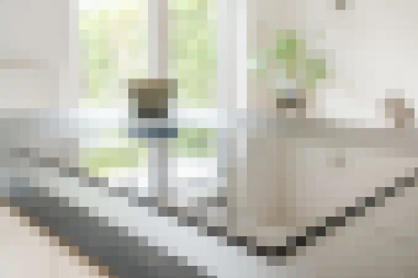 Heggestraat 50 Geldrop thumbnail 24