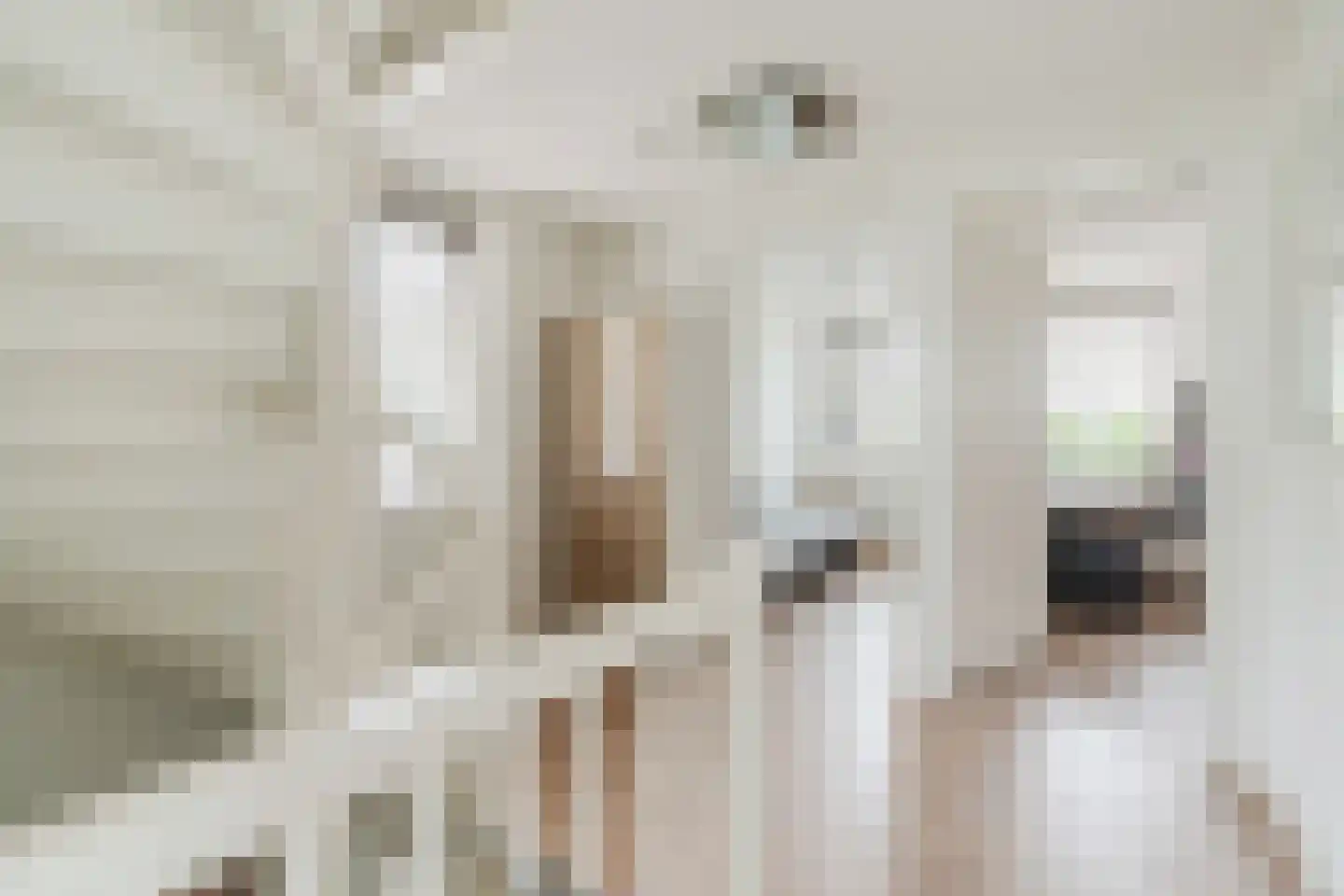 Heggestraat 50 Geldrop thumbnail 37