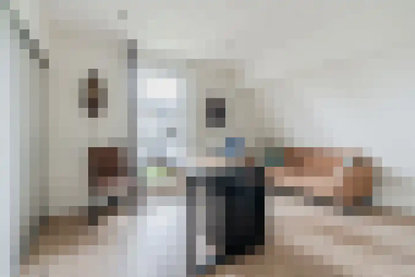 Heggestraat 50 Geldrop thumbnail 41