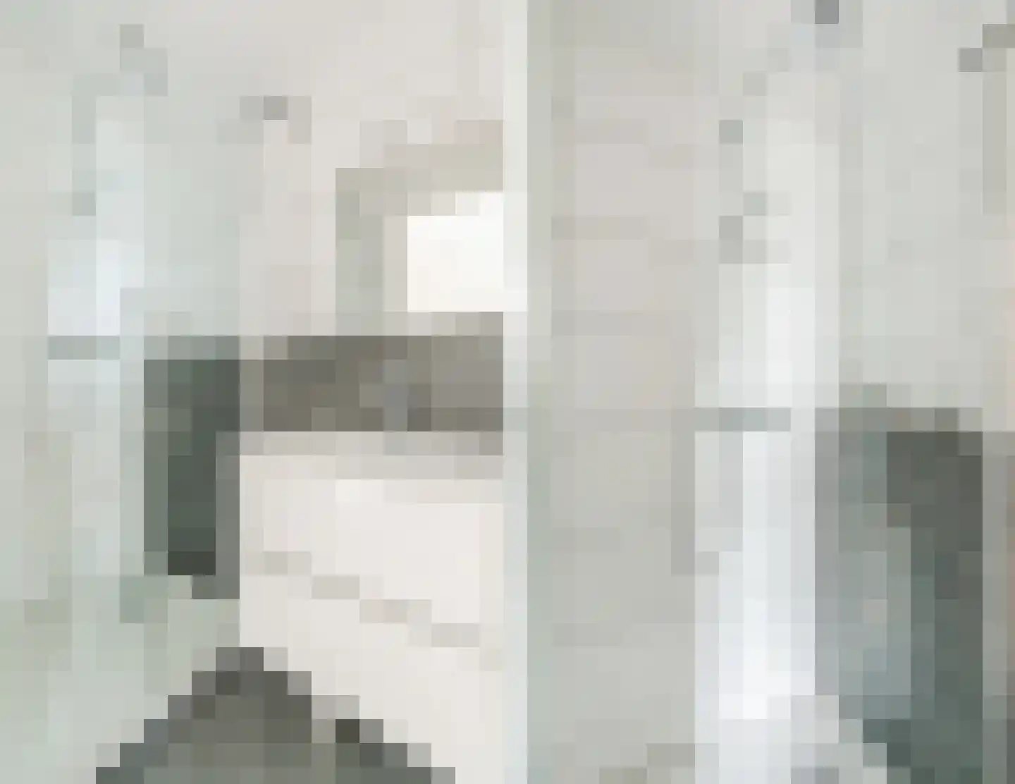 Heggestraat 50 Geldrop thumbnail 44