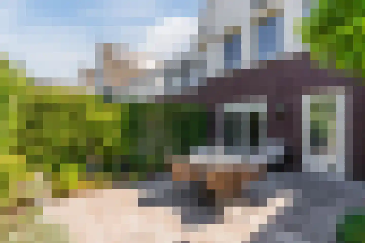 Heggestraat 50 Geldrop thumbnail 50