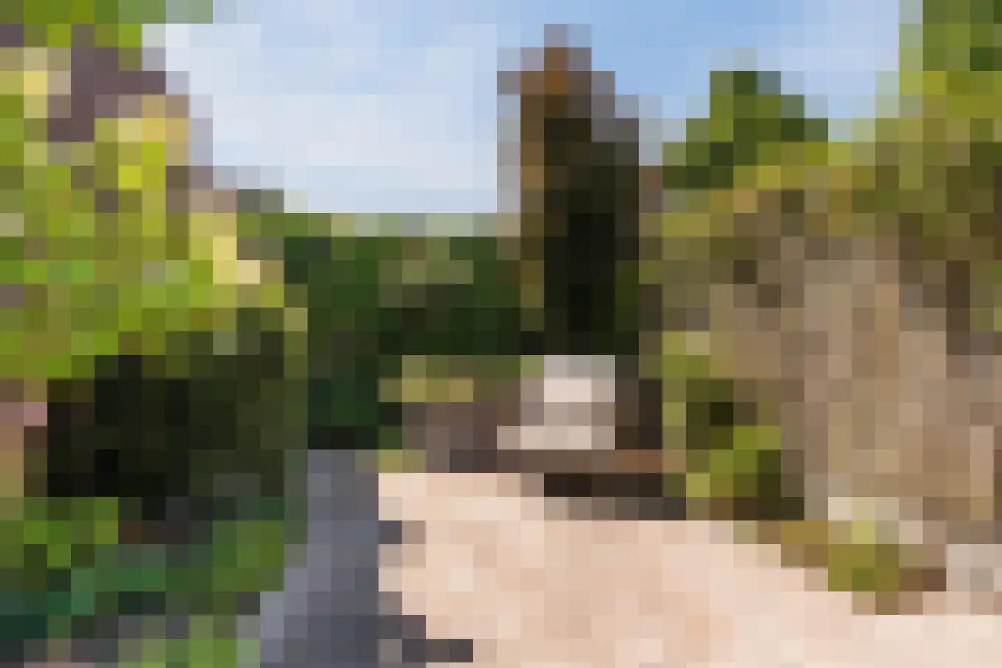 Heggestraat 50 Geldrop thumbnail 55
