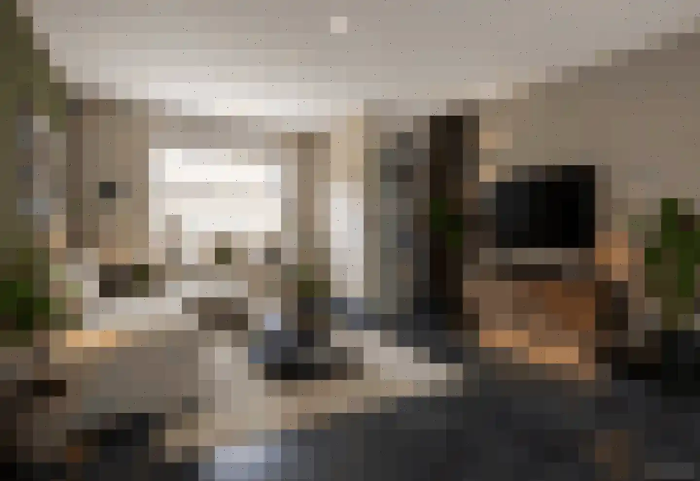 Heggewikke 1 Venray thumbnail 19