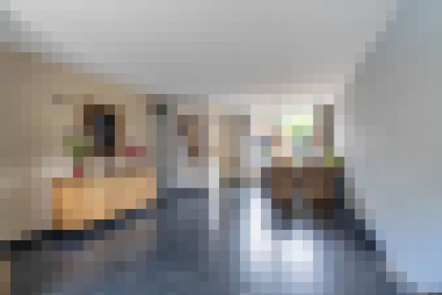 Heggewikke 1 Venray thumbnail 20