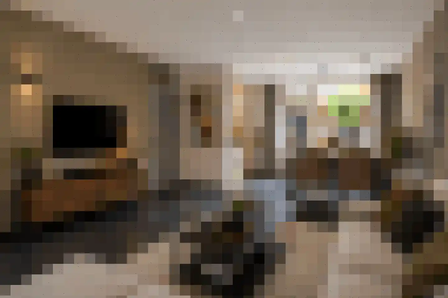 Heggewikke 1 Venray thumbnail 21