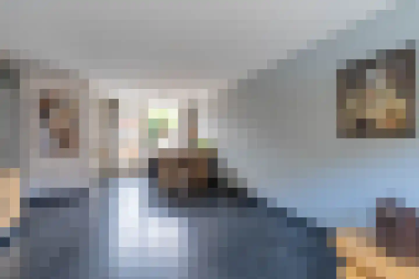 Heggewikke 1 Venray thumbnail 22