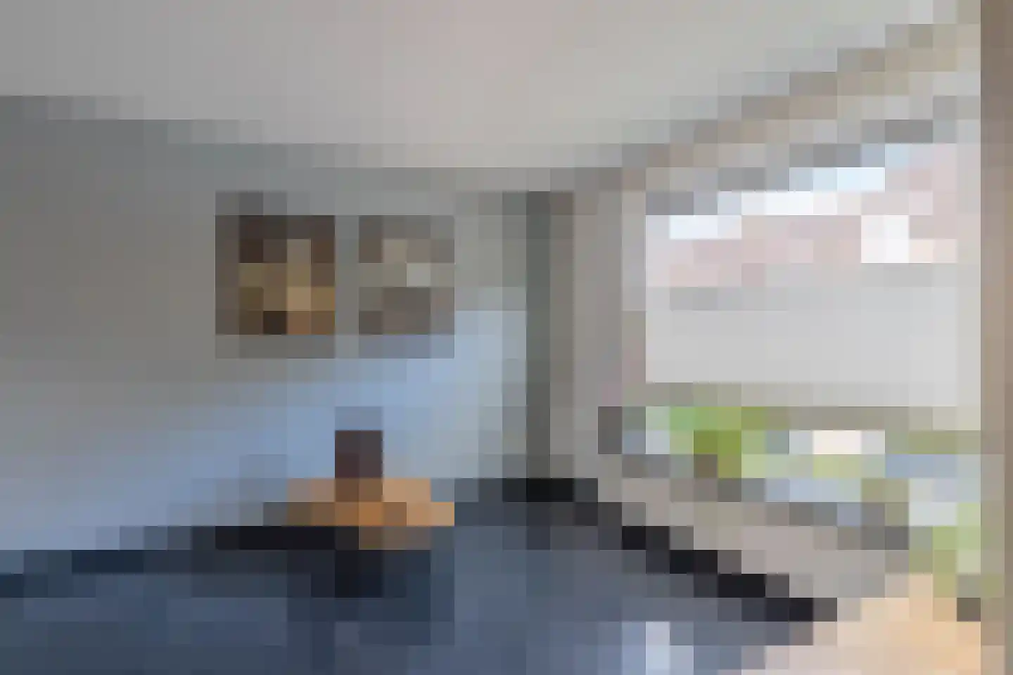 Heggewikke 1 Venray thumbnail 23