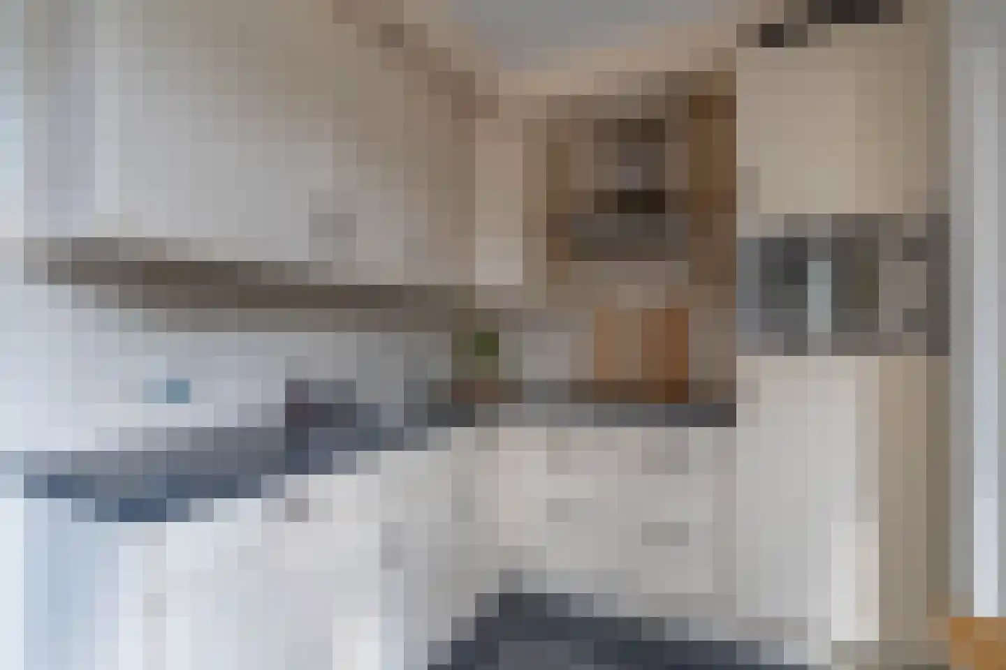 Heggewikke 1 Venray thumbnail 26
