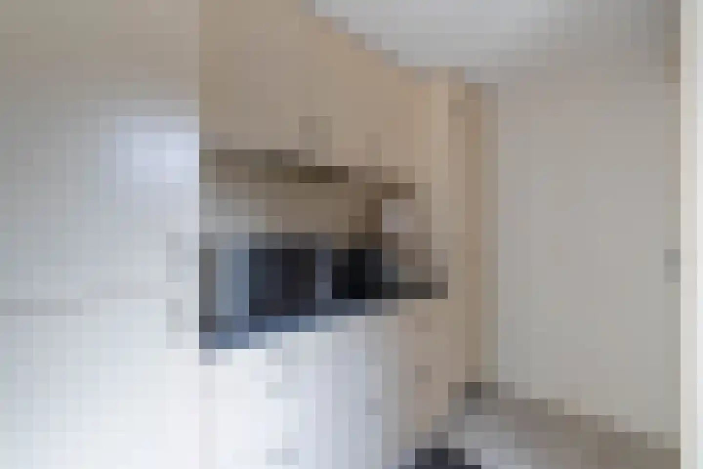 Heggewikke 1 Venray thumbnail 29