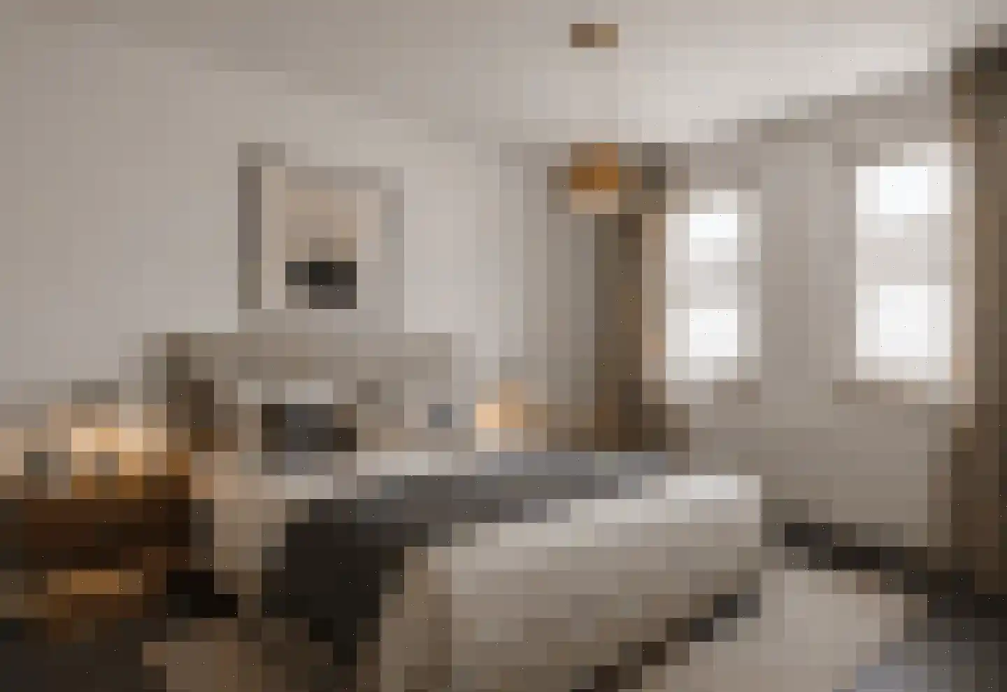 Heggewikke 1 Venray thumbnail 35