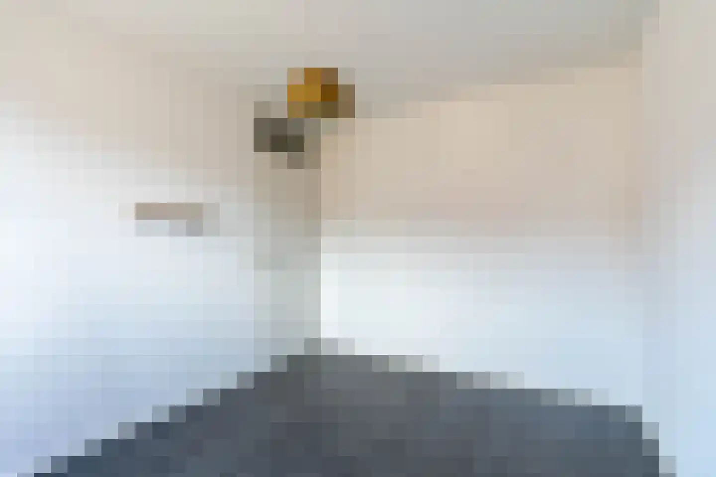 Heggewikke 1 Venray thumbnail 36