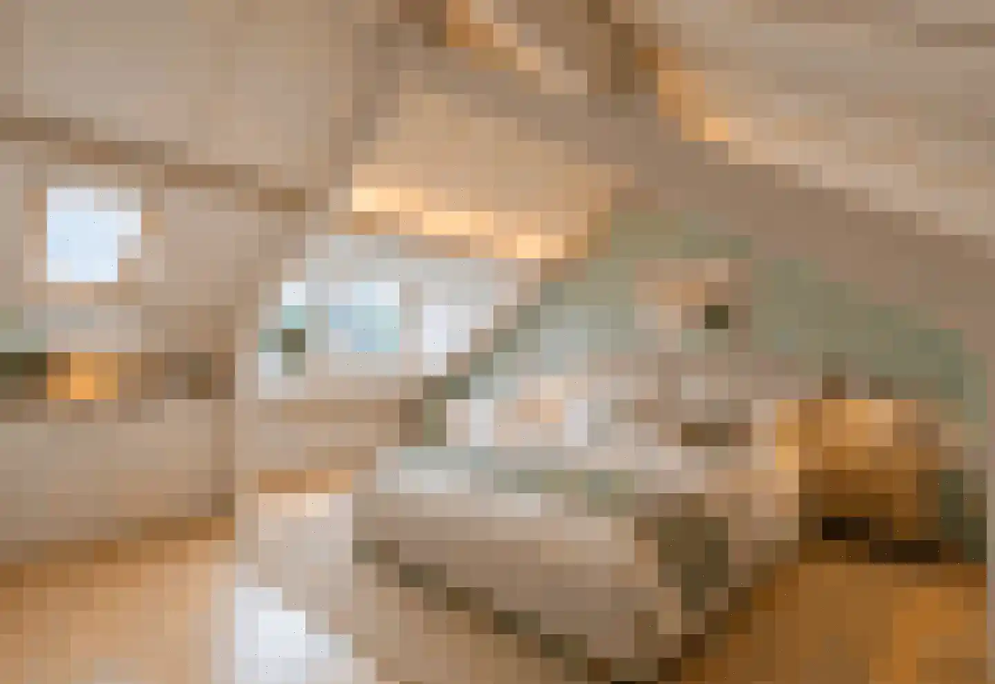 Heggewikke 1 Venray thumbnail 47