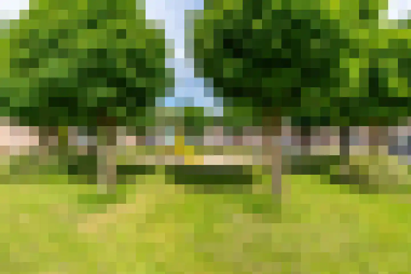 Heggewikke 1 Venray thumbnail 8
