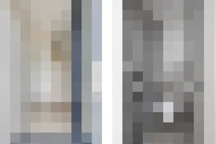 Heggewikke 28 Duiven thumbnail 10