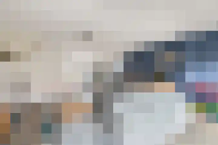 Heggewikke 28 Duiven thumbnail 14