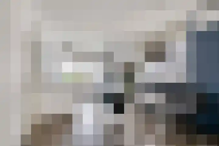 Heggewikke 28 Duiven thumbnail 17