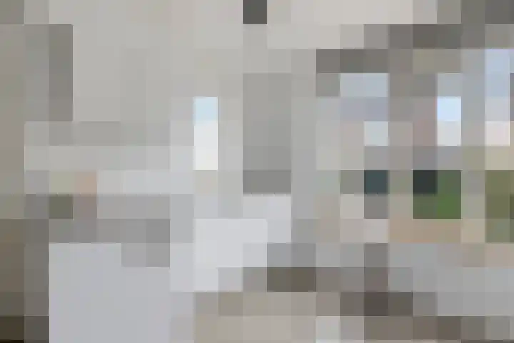 Heggewikke 28 Duiven thumbnail 18