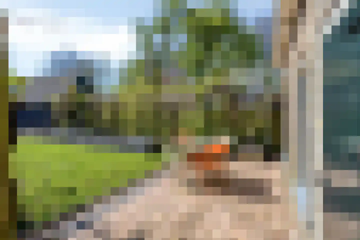 Heggewikke 28 Duiven thumbnail 22