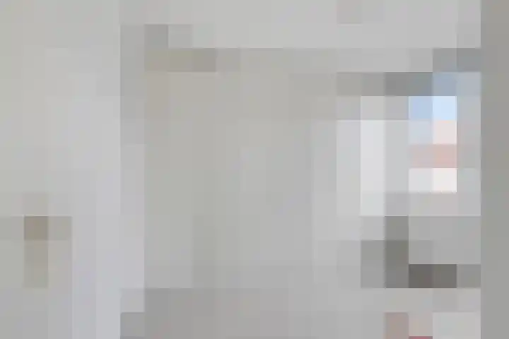 Heggewikke 28 Duiven thumbnail 26