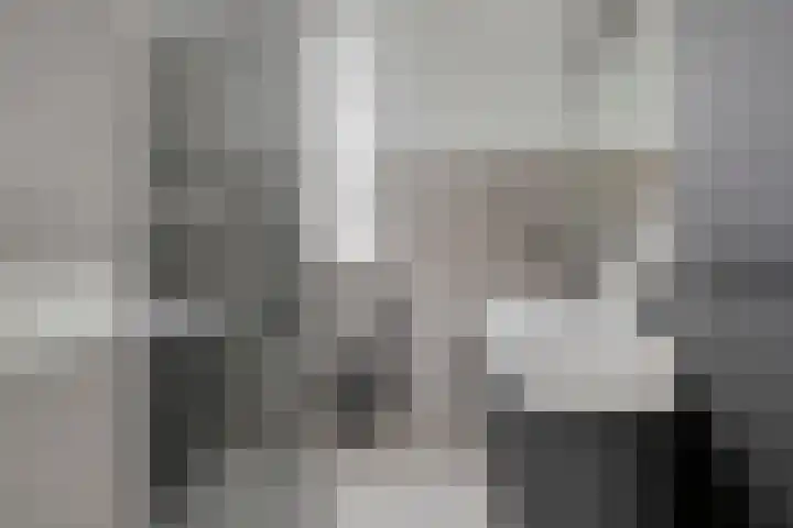 Heggewikke 28 Duiven thumbnail 30