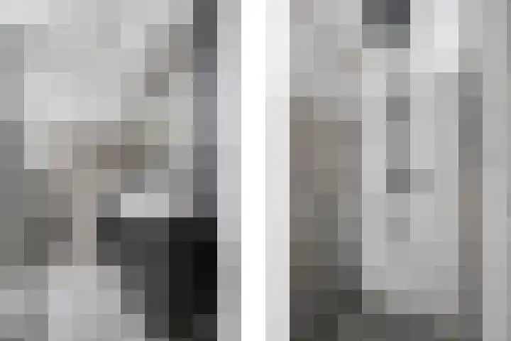 Heggewikke 28 Duiven thumbnail 31