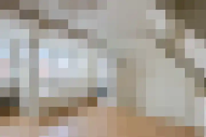 Heggewikke 28 Duiven thumbnail 33