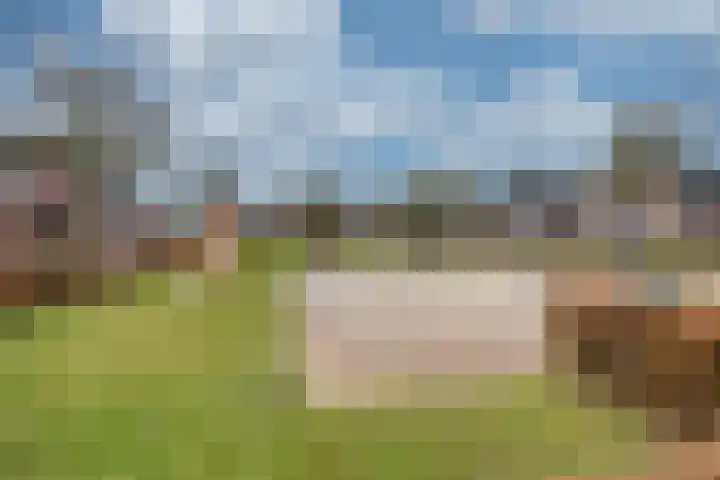 Heggewikke 28 Duiven thumbnail 36