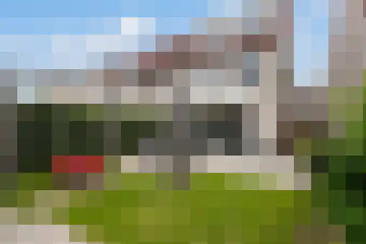 Heggewikke 28 Duiven thumbnail 4