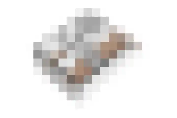 Heggewikke 28 Duiven thumbnail 41