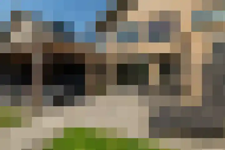 Heggewikke 28 Duiven thumbnail 47
