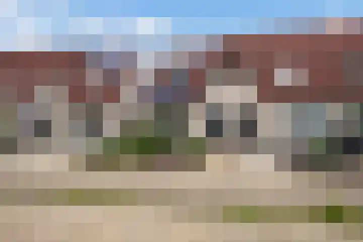 Heggewikke 28 Duiven thumbnail 5