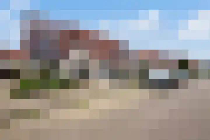 Heggewikke 28 Duiven thumbnail 6