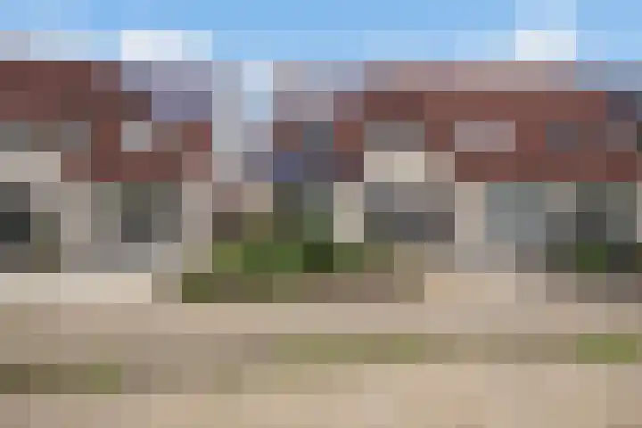 Heggewikke 28 Duiven thumbnail 7