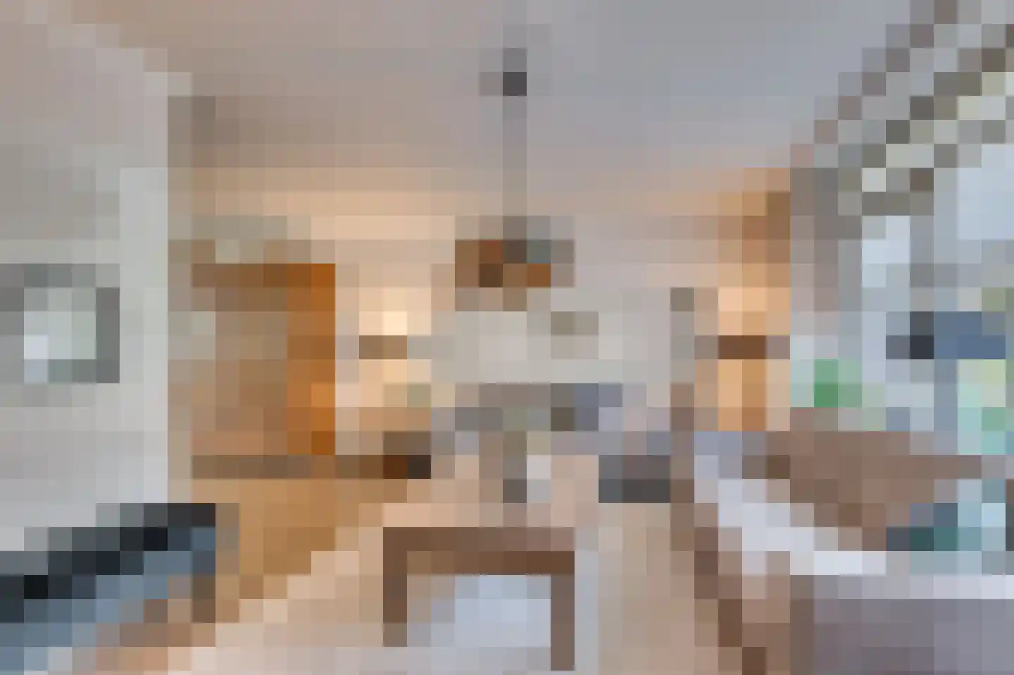 Heggewikke 3 Venlo thumbnail 11