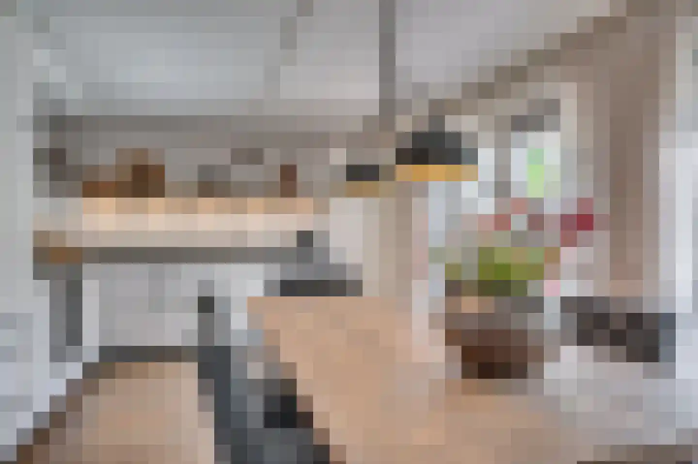 Heggewikke 3 Venlo thumbnail 16