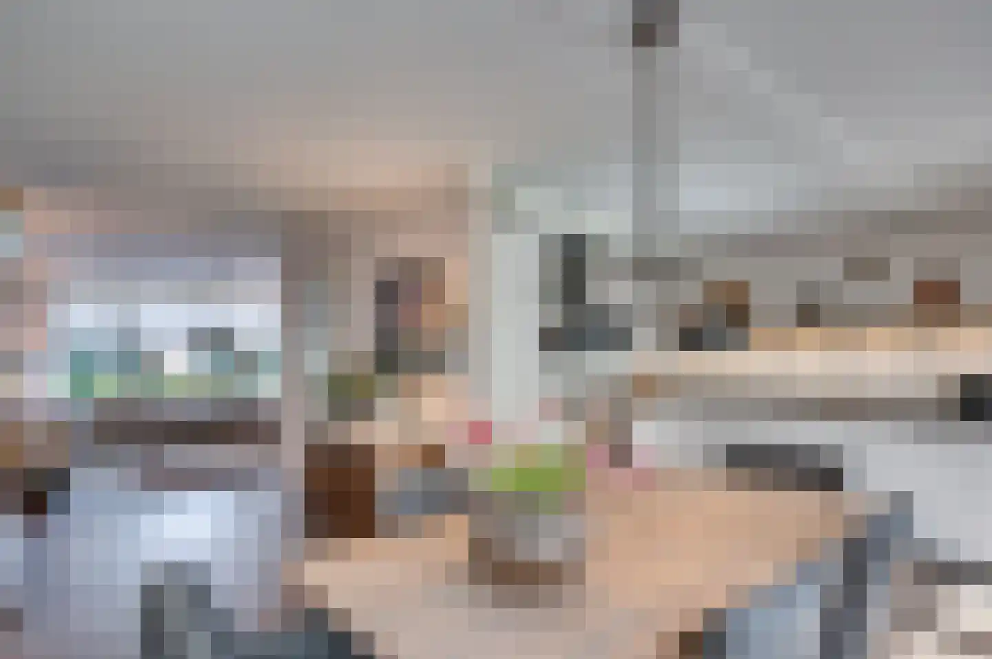 Heggewikke 3 Venlo thumbnail 17