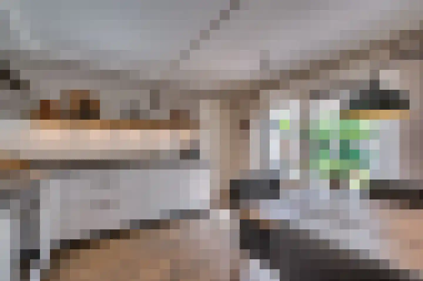 Heggewikke 3 Venlo thumbnail 18