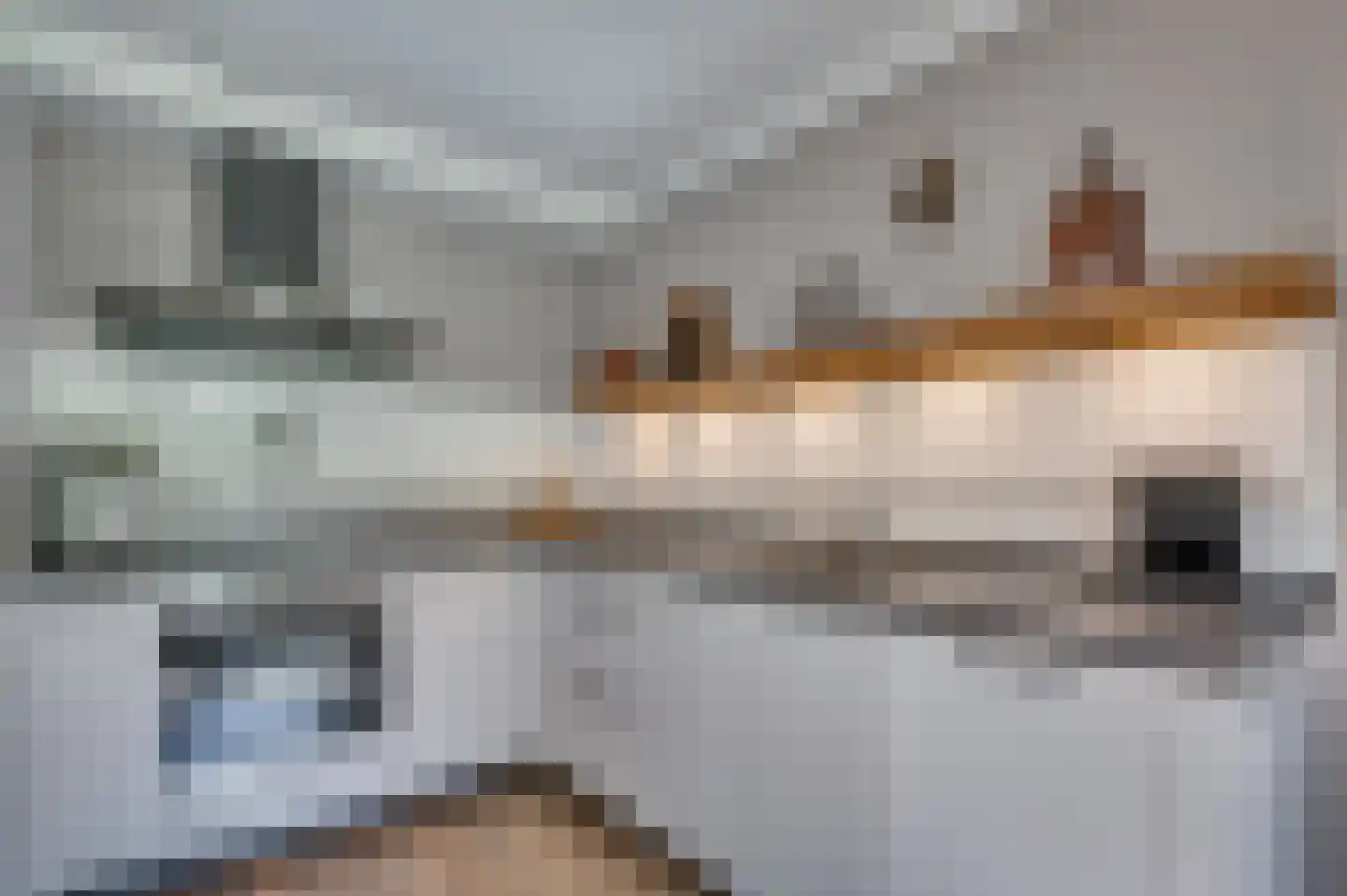 Heggewikke 3 Venlo thumbnail 19