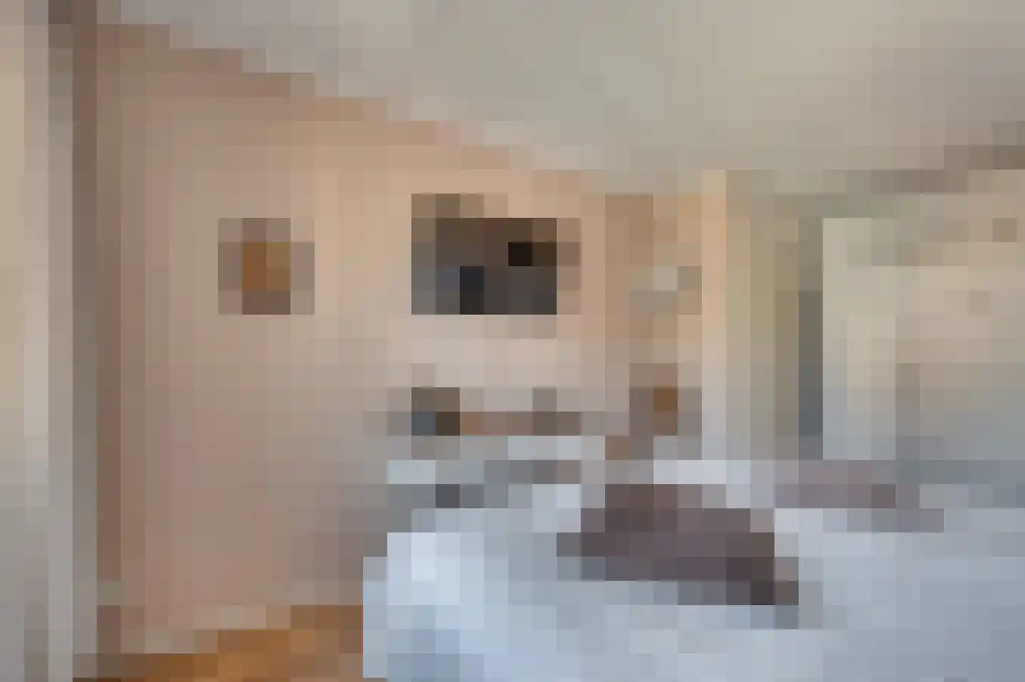 Heggewikke 3 Venlo thumbnail 27