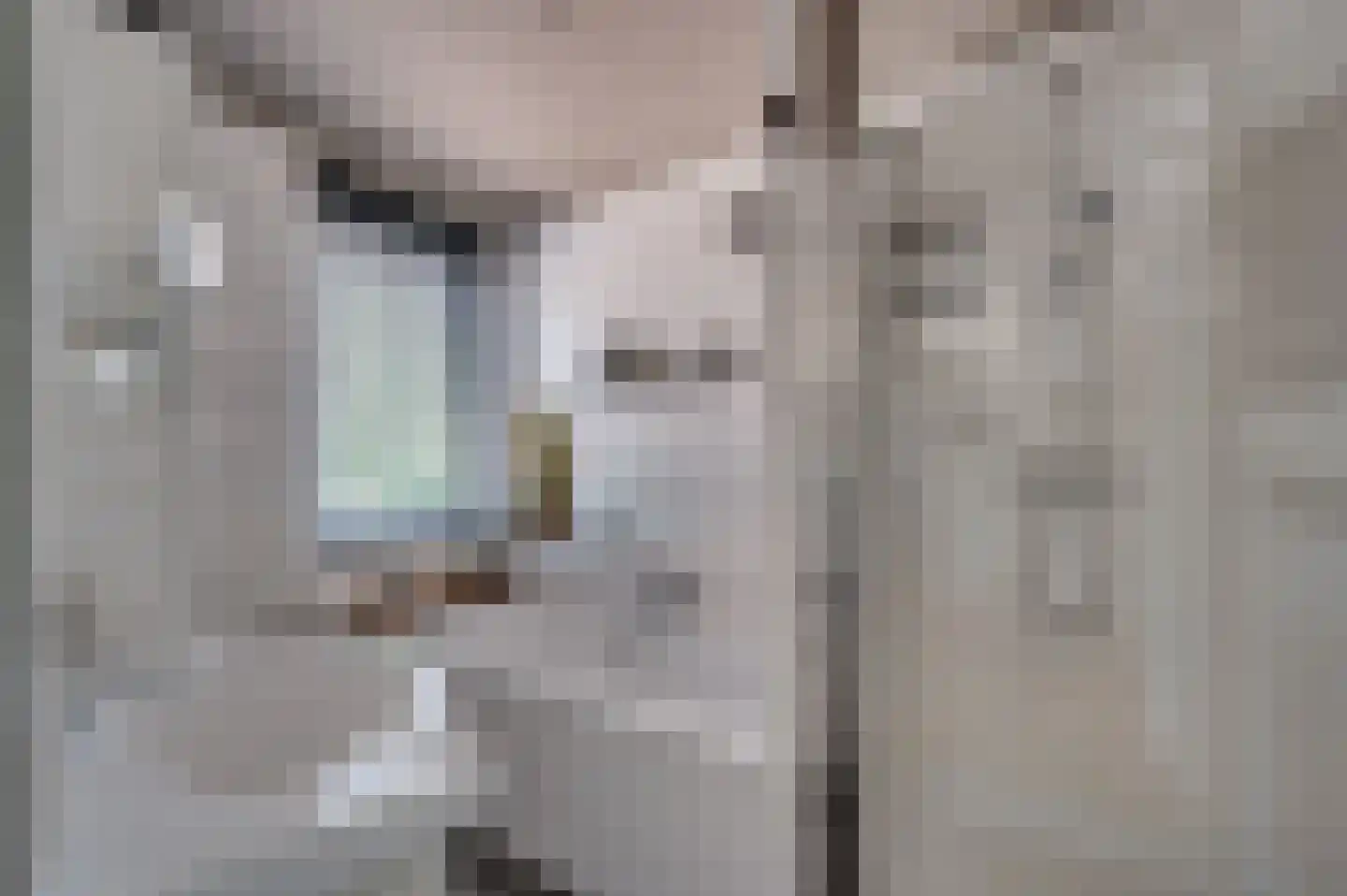 Heggewikke 3 Venlo thumbnail 31