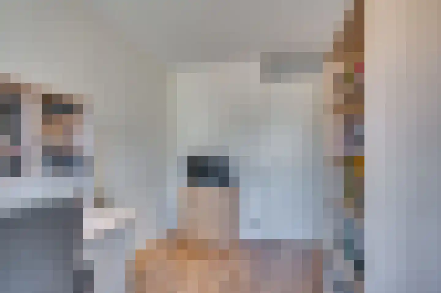 Heggewikke 3 Venlo thumbnail 36