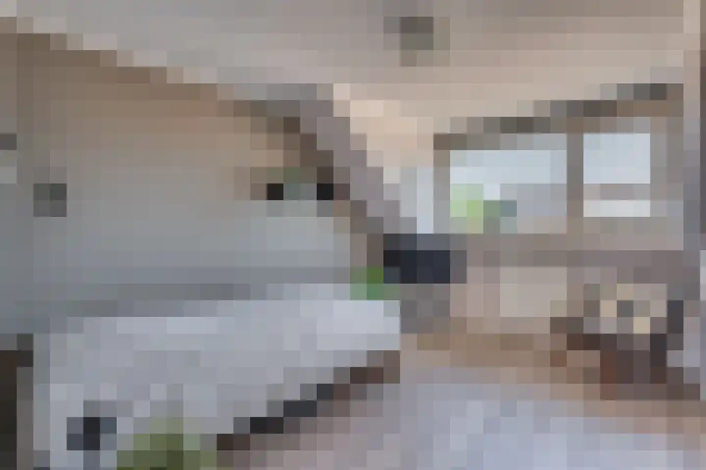 Heggewikke 3 Venlo thumbnail 37