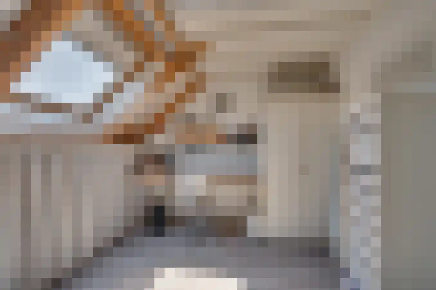 Heggewikke 3 Venlo thumbnail 40