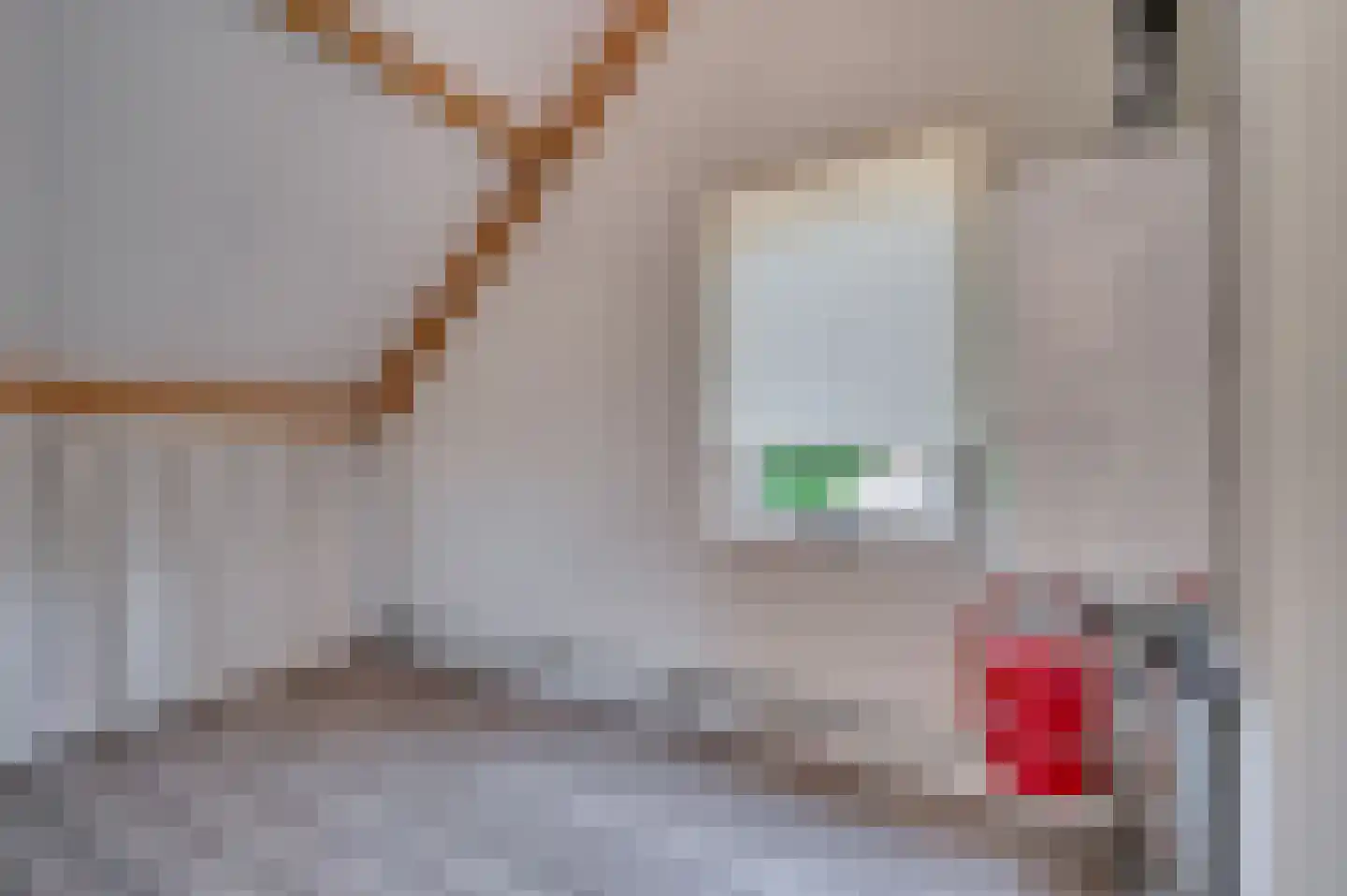 Heggewikke 3 Venlo thumbnail 41