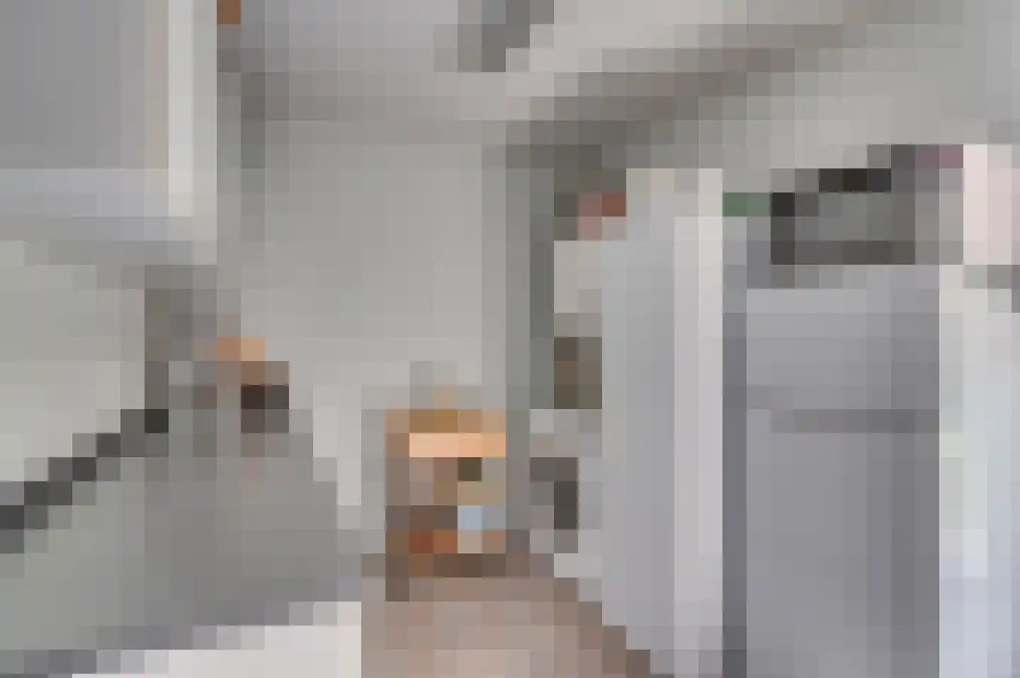 Heggewikke 3 Venlo thumbnail 44