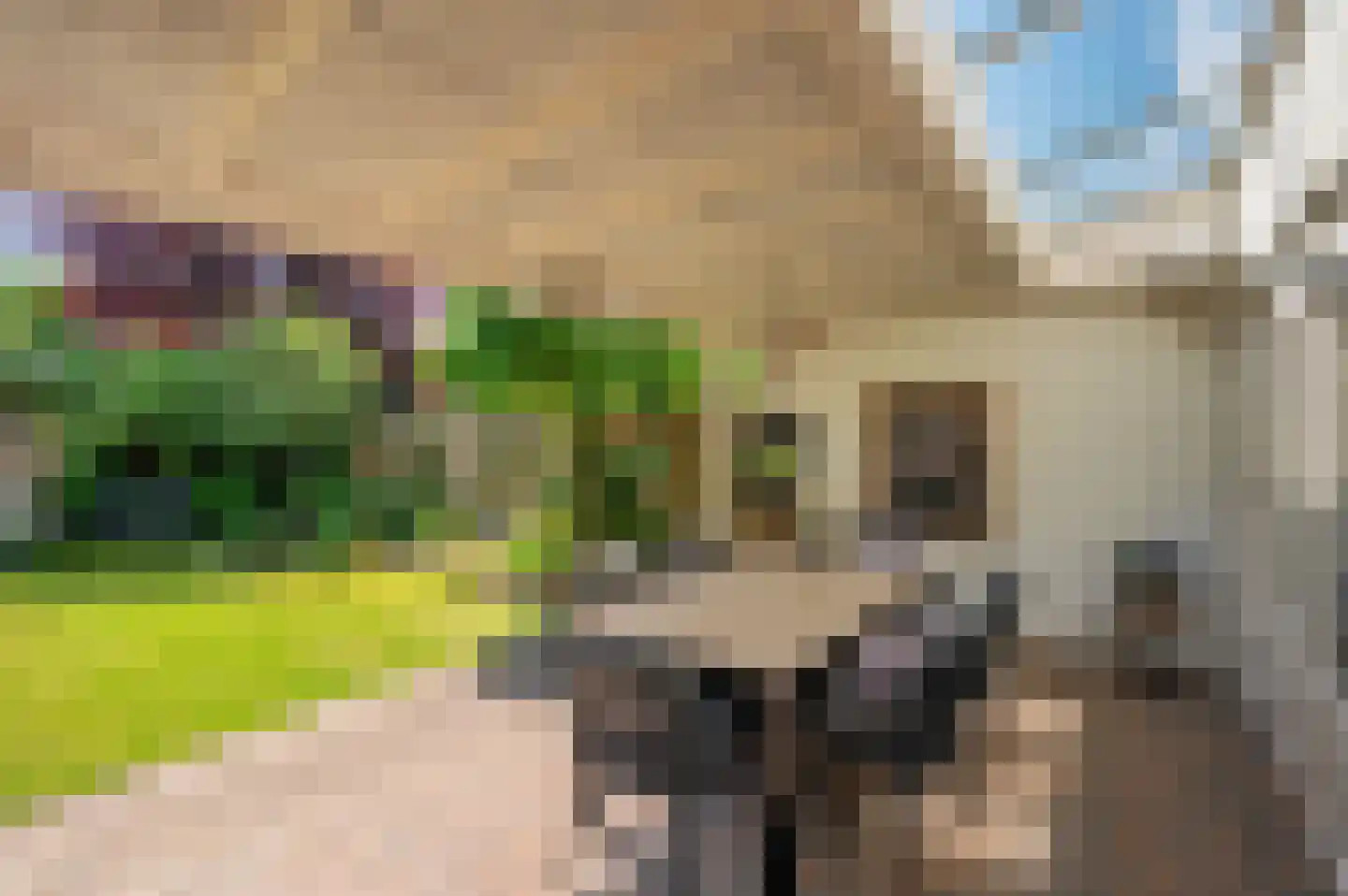 Heggewikke 3 Venlo thumbnail 47