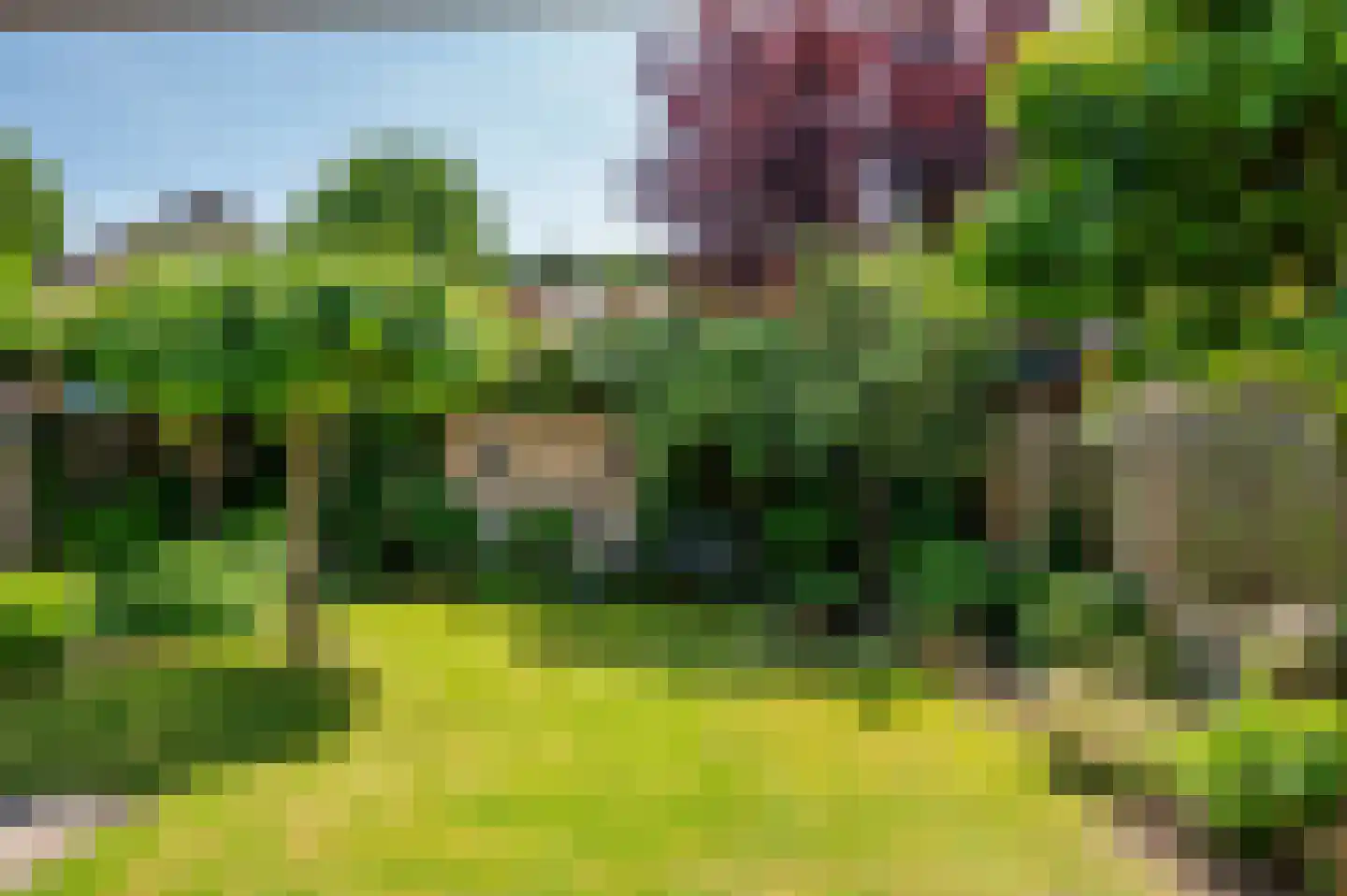 Heggewikke 3 Venlo thumbnail 49