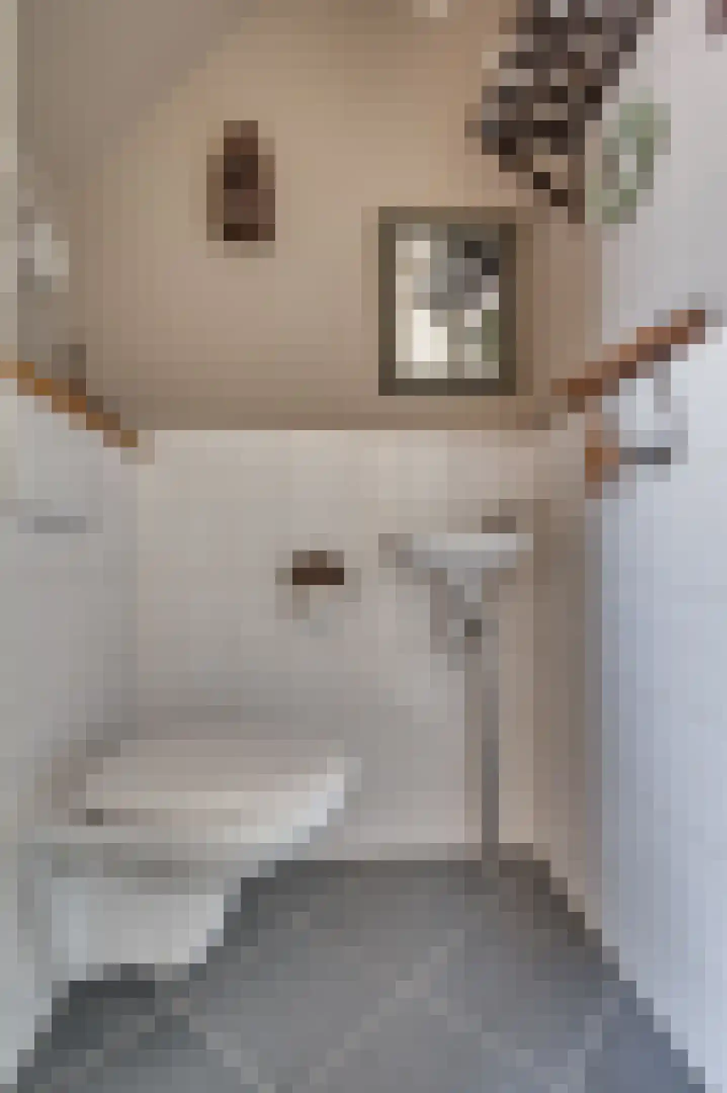Heggewikke 3 Venlo thumbnail 5
